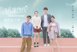 青春抛物线电视剧,梦想与现实的交织之旅